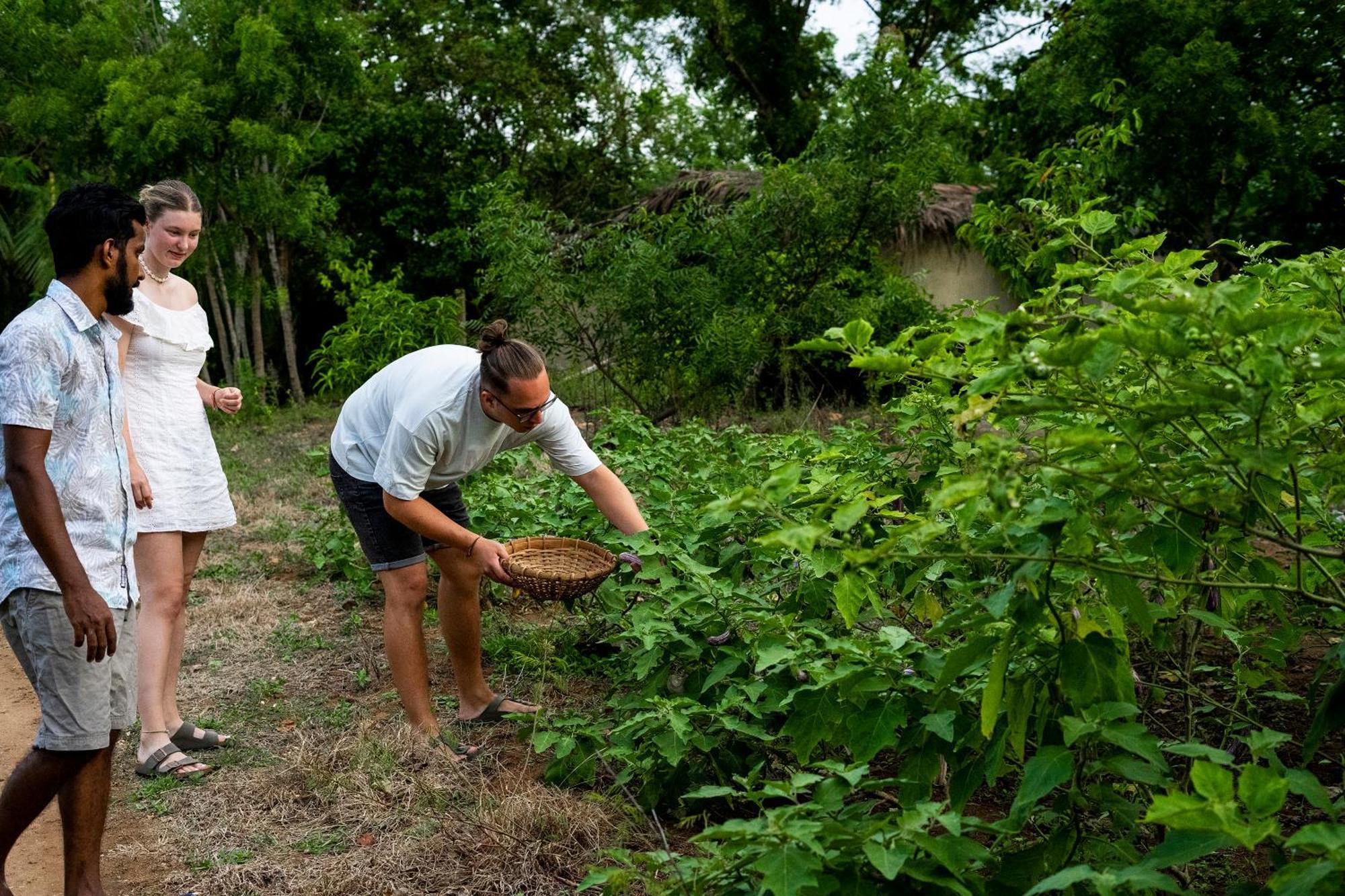 River Paradise Safari House With Cooking Class Udawalawe Eksteriør bilde