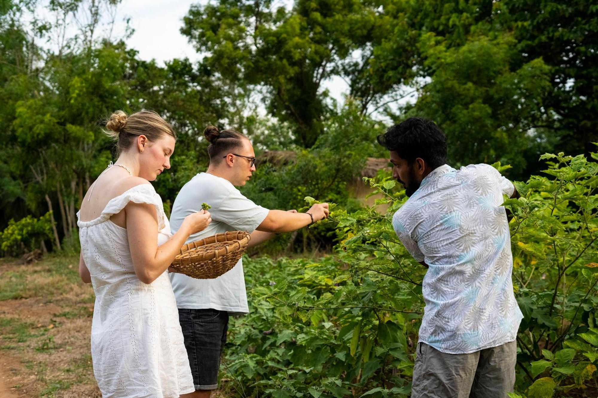 River Paradise Safari House With Cooking Class Udawalawe Eksteriør bilde