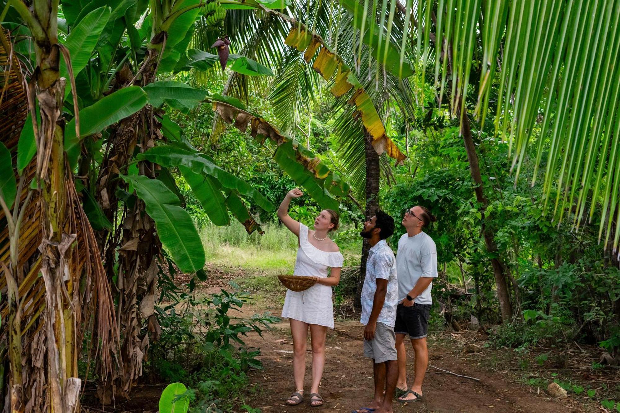 River Paradise Safari House With Cooking Class Udawalawe Eksteriør bilde