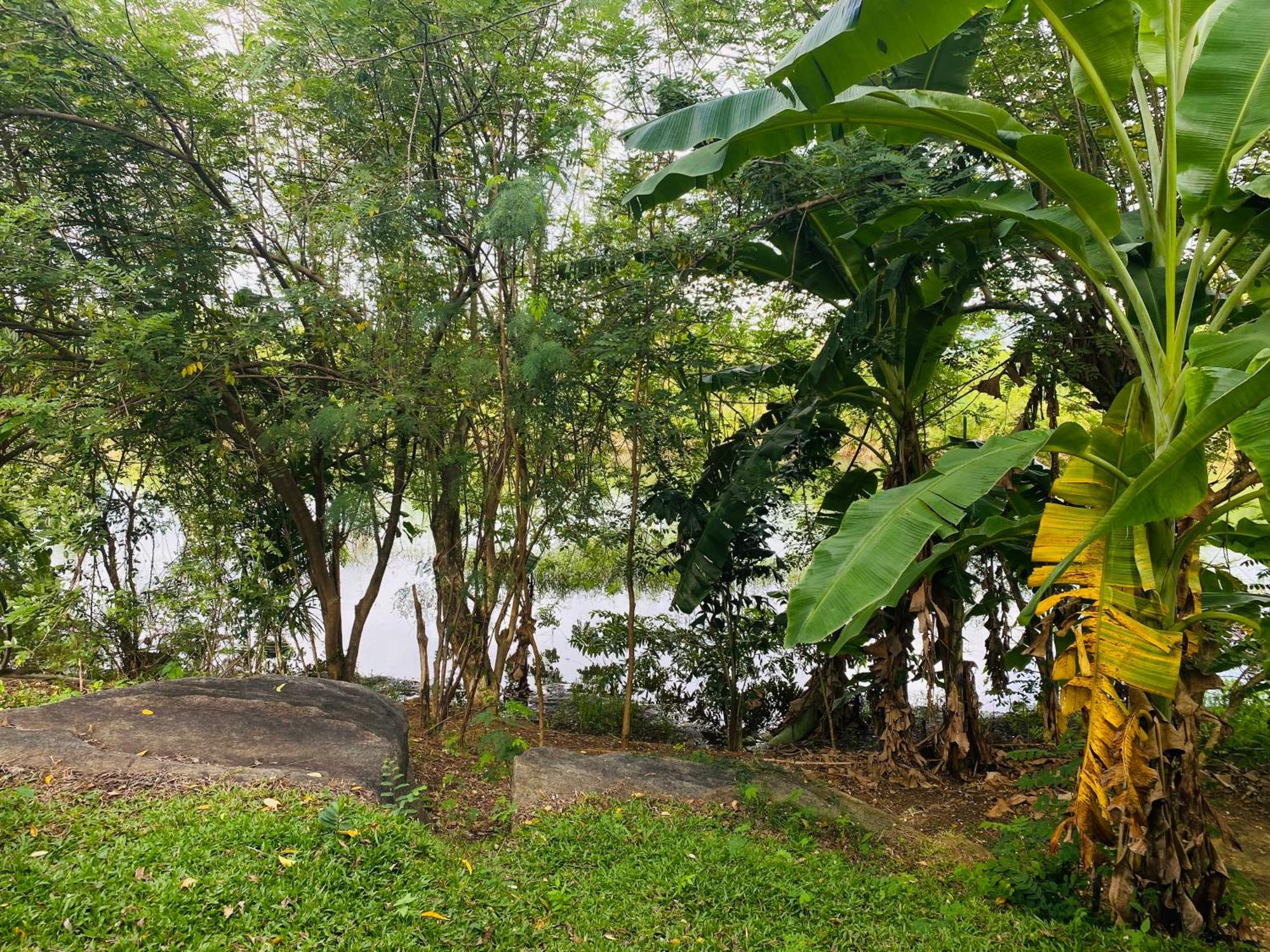 River Paradise Safari House With Cooking Class Udawalawe Eksteriør bilde